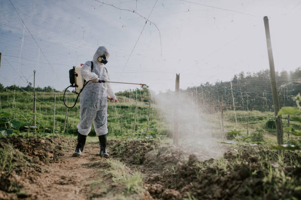 Professional Pest Control in Thruston, KY
